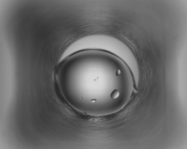 X0000112950117200908241350