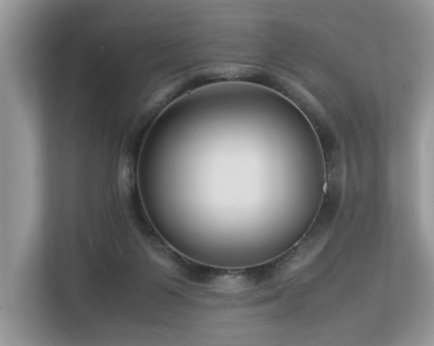 X0000112950119200908241350