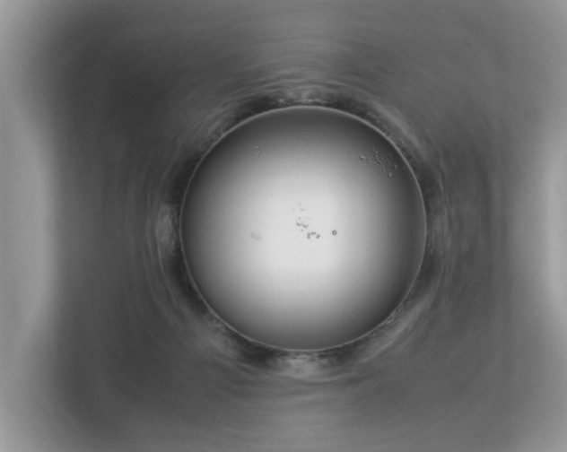 X0000112950121200908241350