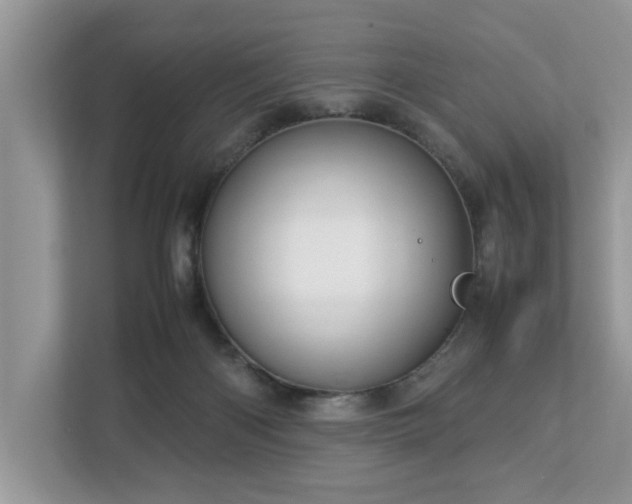 X0000112950122200908241350