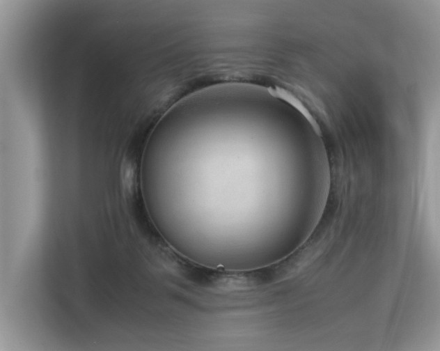 X0000112950123200908241350