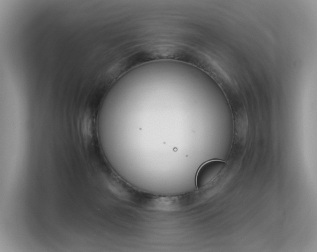 X0000112950126200908241350