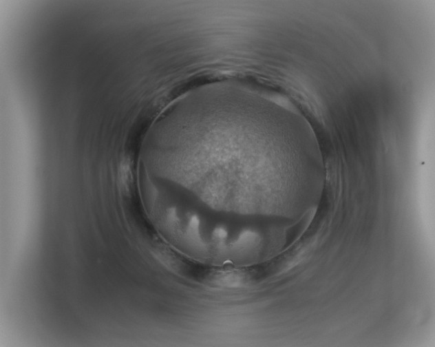 X0000112950127200908241350