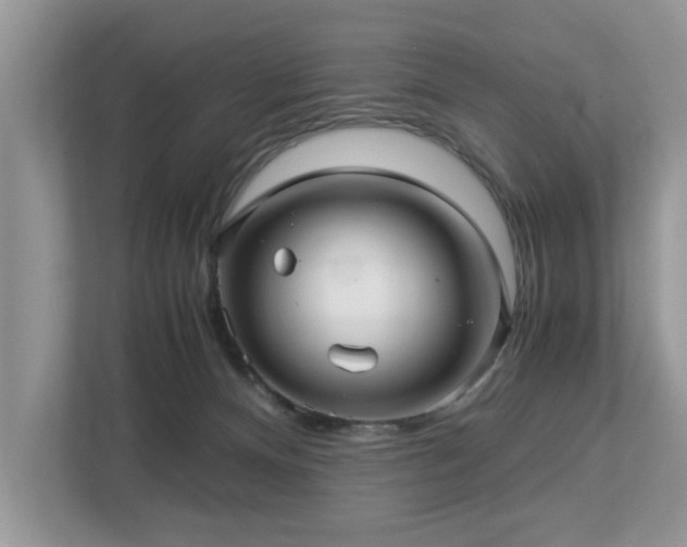 X0000112950128200908241350