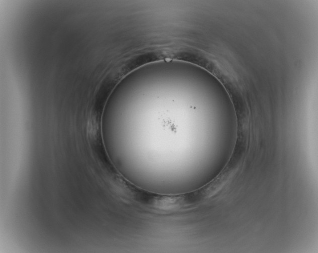 X0000112950129200908241350