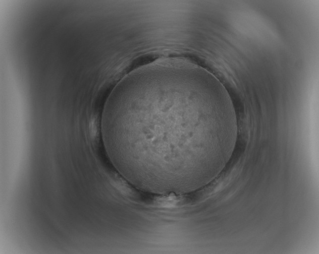 X0000112950131200908241350