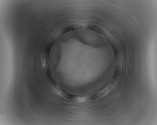 X0000112950134200908241350