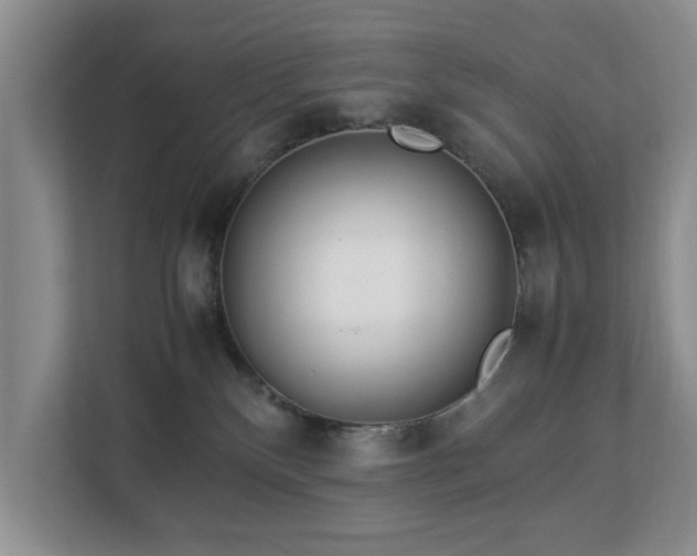 X0000112950136200908241350