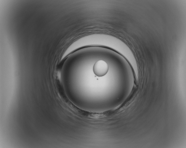 X0000112950137200908241350