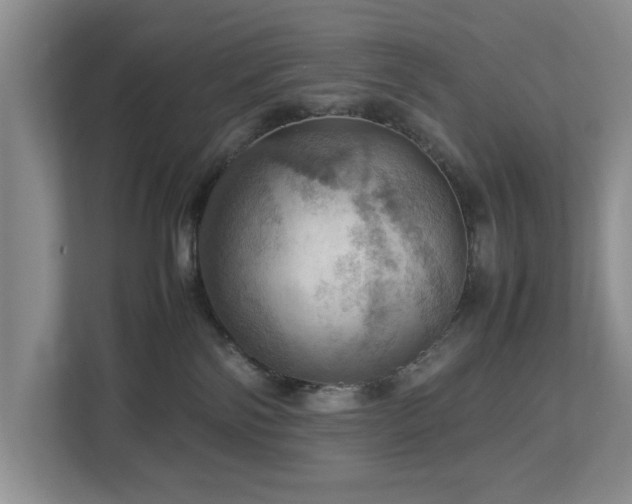 X0000112950138200908241350