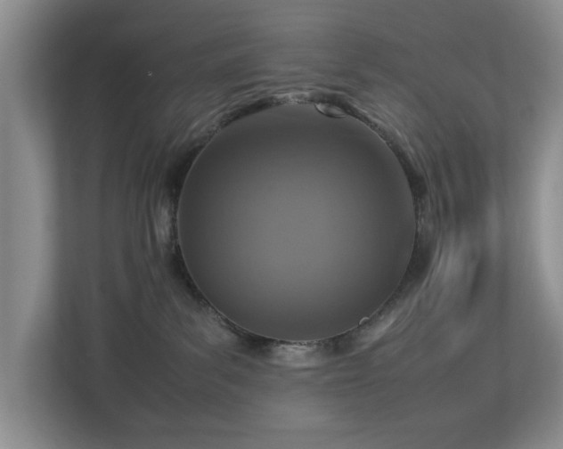 X0000112950139200908241350