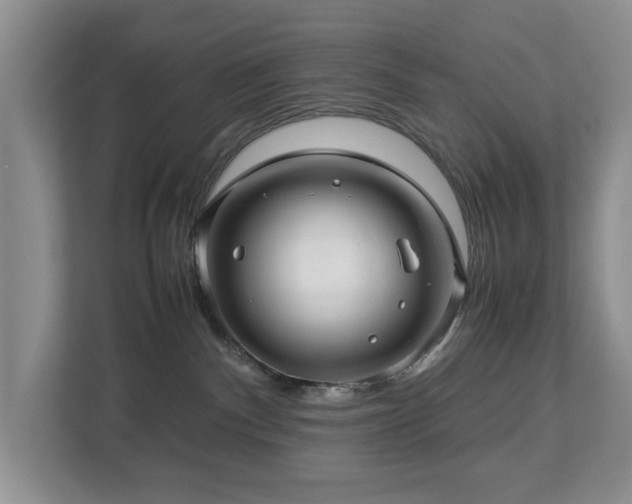 X0000112950140200908241350