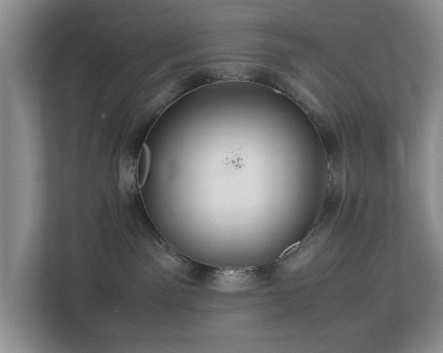 X0000112950141200908241350