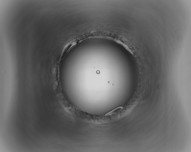 X0000112950144200908241350