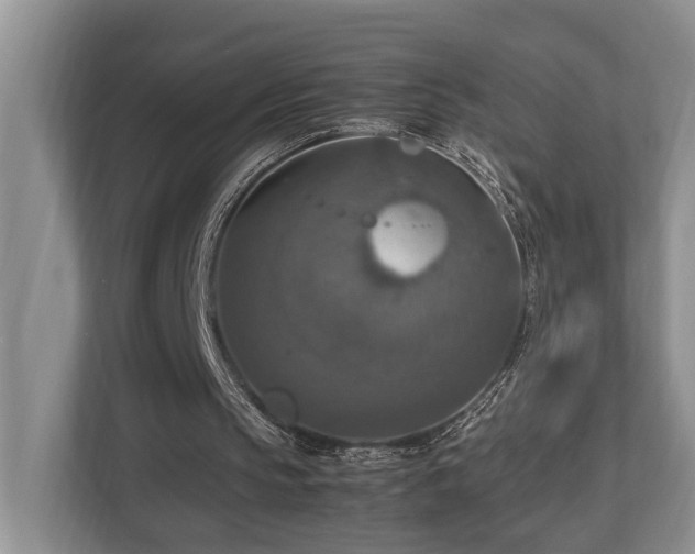 X0000112950145200908241349