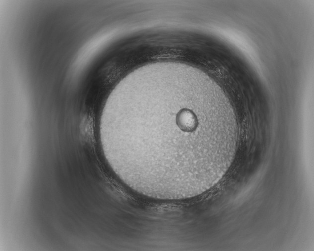 X0000112950146200908241349