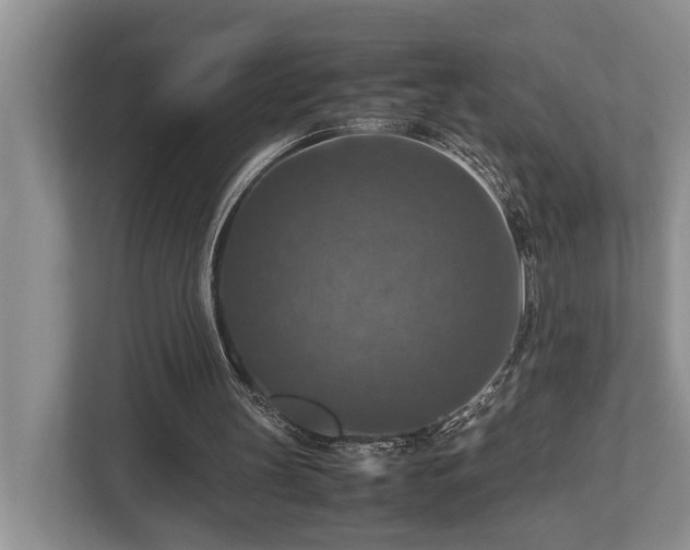 X0000112950147200908241349