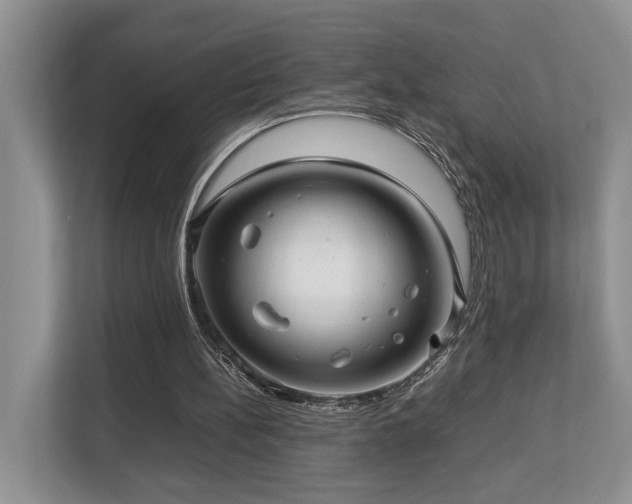 X0000112950148200908241349