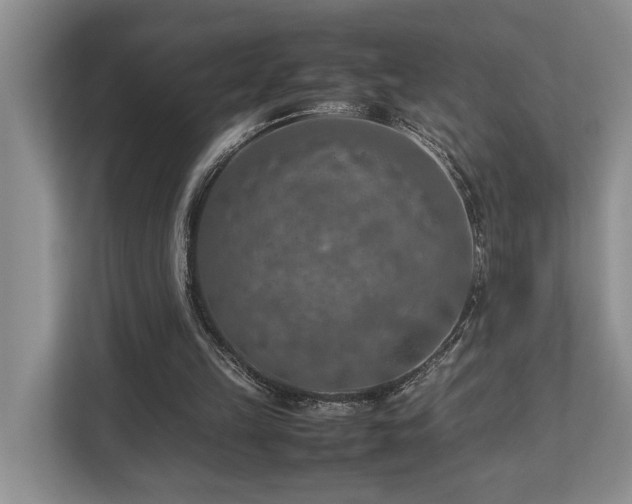 X0000112950149200908241349