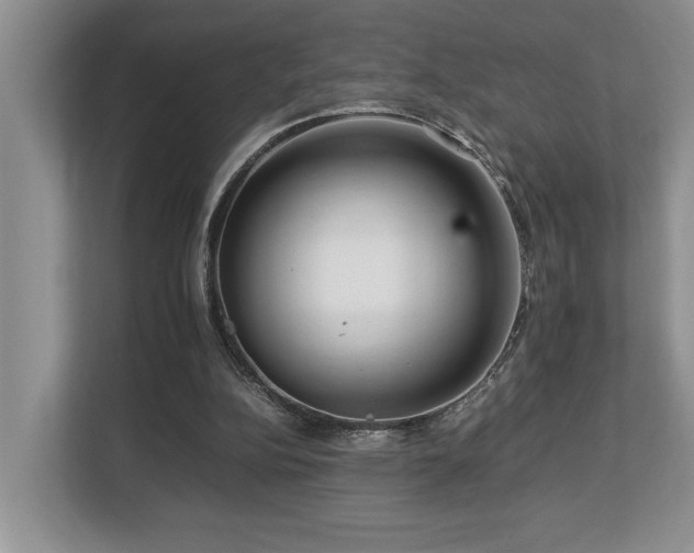 X0000112950152200908241349