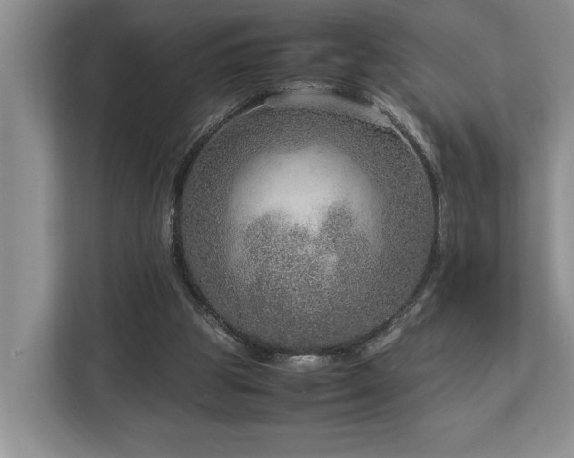 X0000112950153200908241349