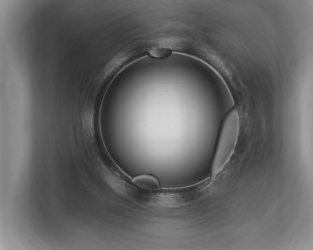 X0000112950154200908241349