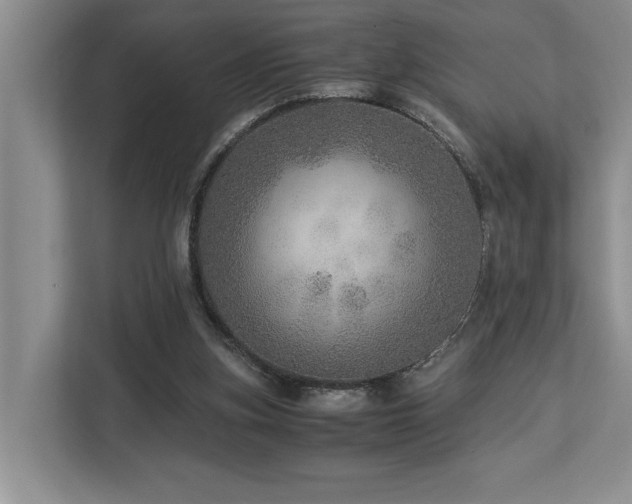 X0000112950155200908241349