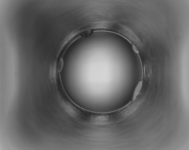 X0000112950156200908241350