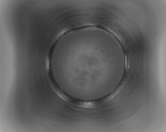 X0000112950157200908241350