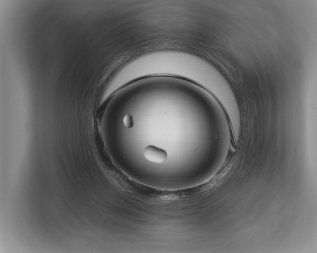 X0000112950158200908241350