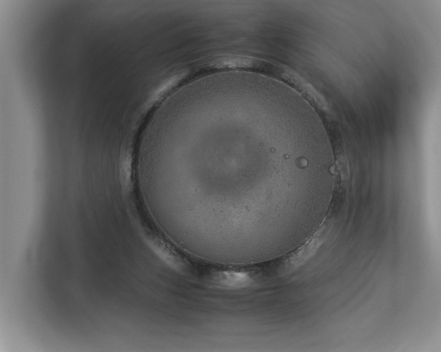 X0000112950159200908241350