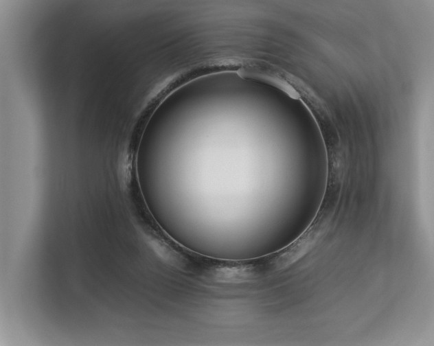 X0000112950160200908241350