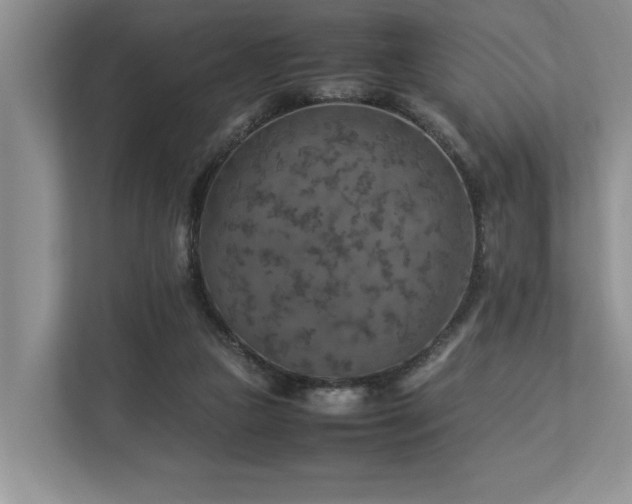 X0000112950161200908241350