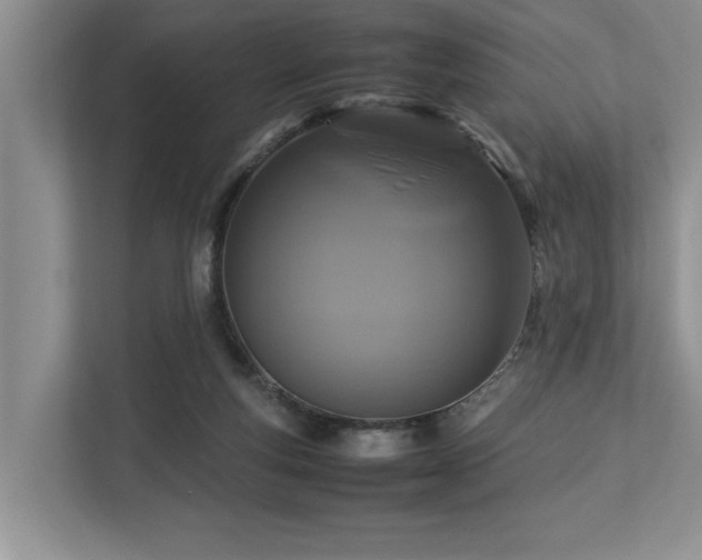 X0000112950163200908241350