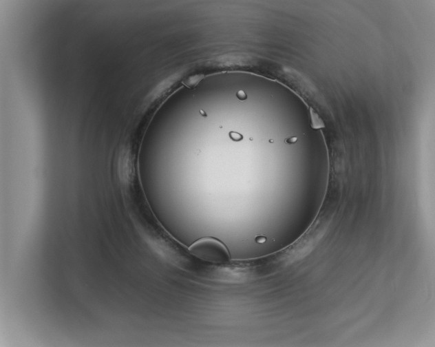 X0000112950164200908241350