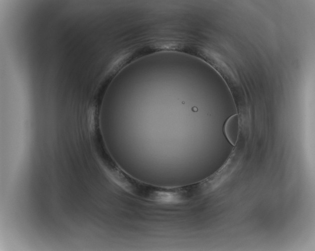 X0000112950167200908241350