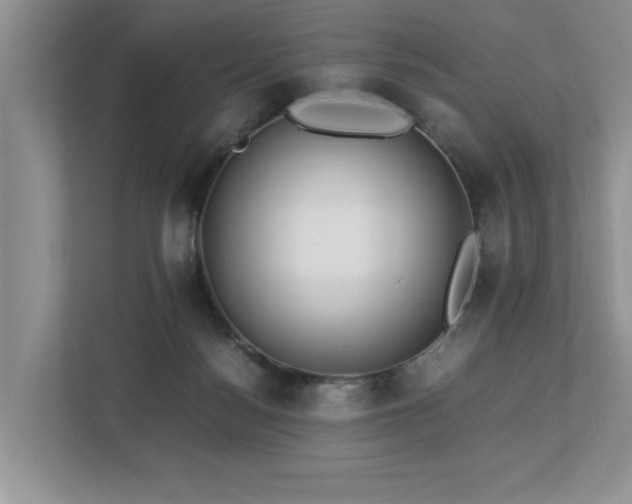 X0000112950172200908241350