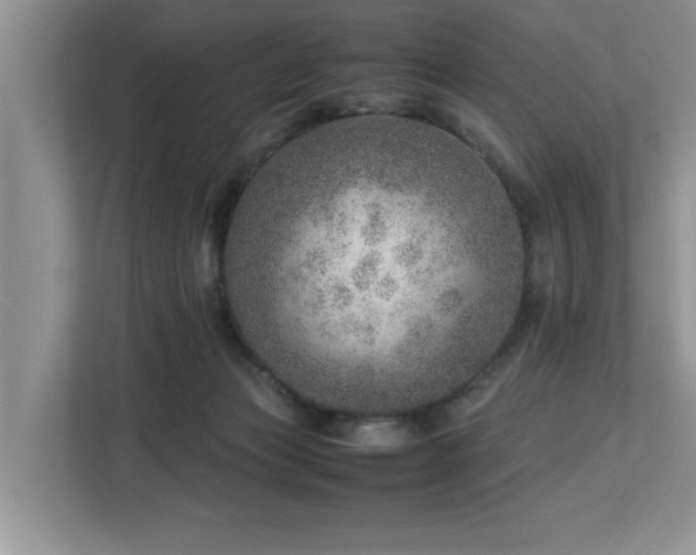 X0000112950173200908241350