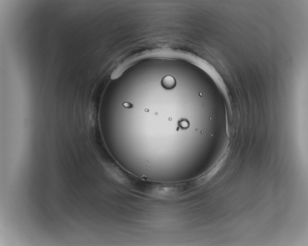 X0000112950174200908241350