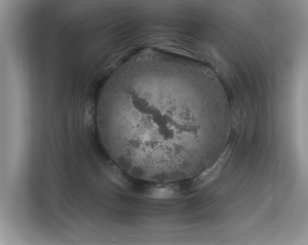 X0000112950175200908241350