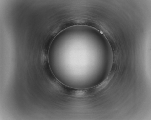 X0000112950176200908241350