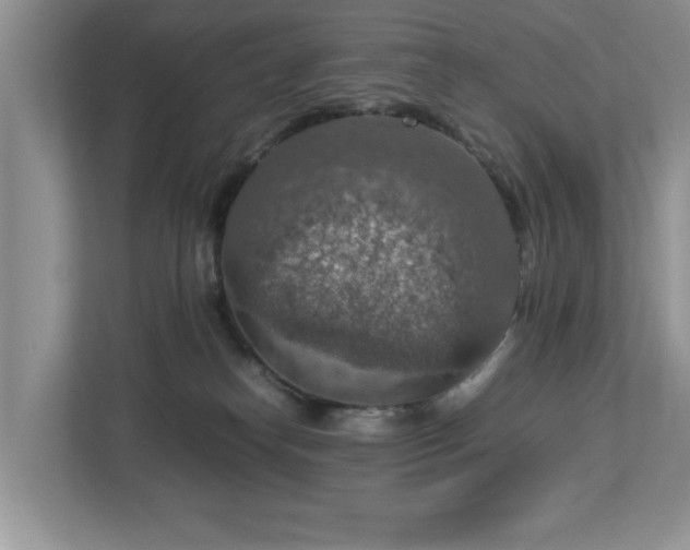 X0000112950182200908241350