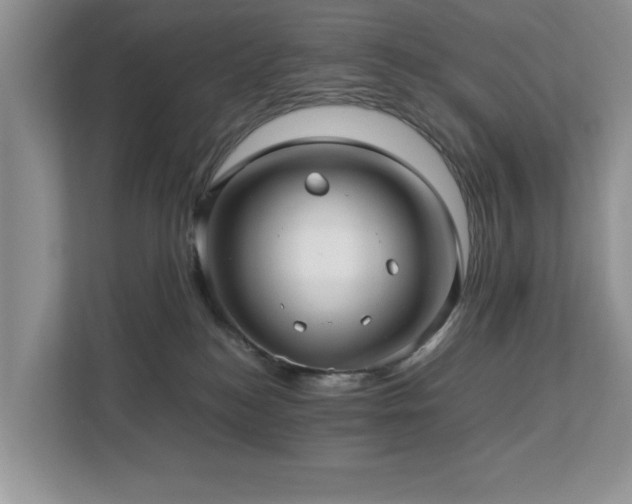 X0000112950184200908241350