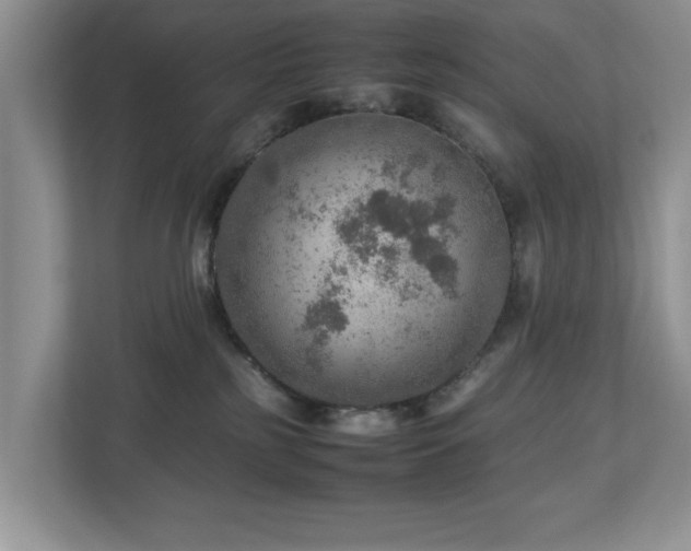 X0000112950185200908241350