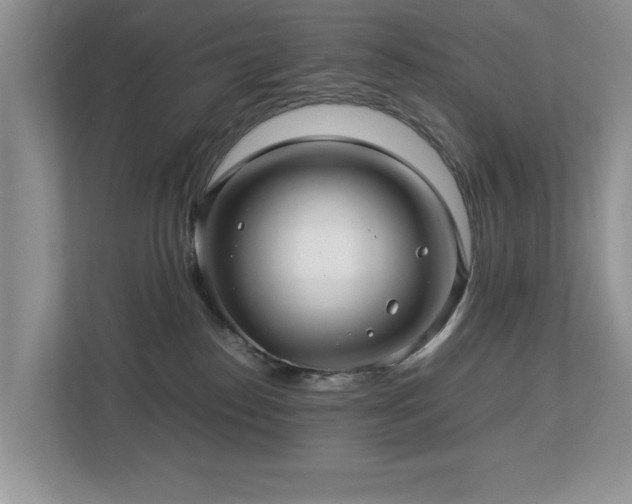 X0000112950186200908241350