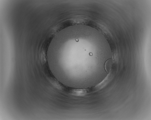 X0000112950187200908241350