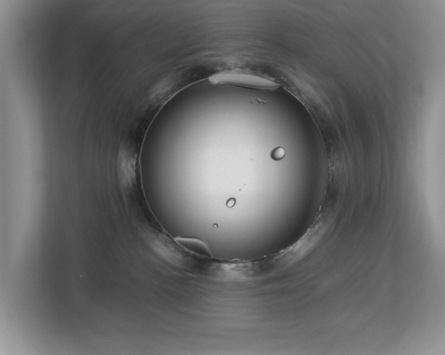 X0000112950188200908241350