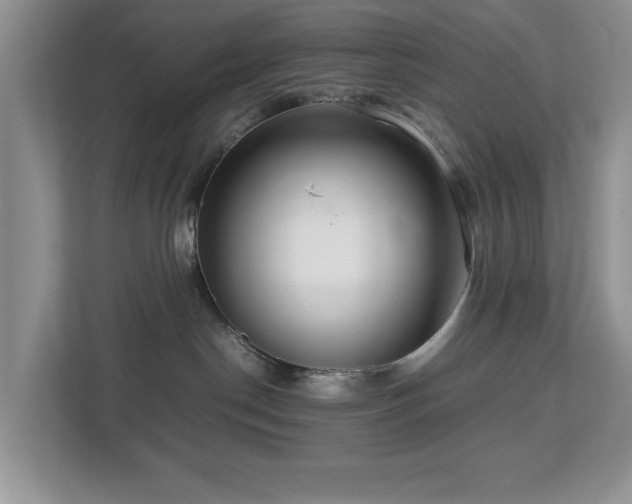 X0000112950190200908241350