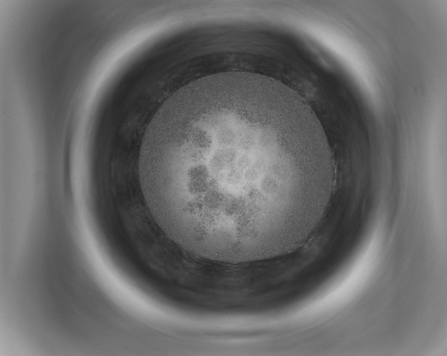 X0000112950191200908241350