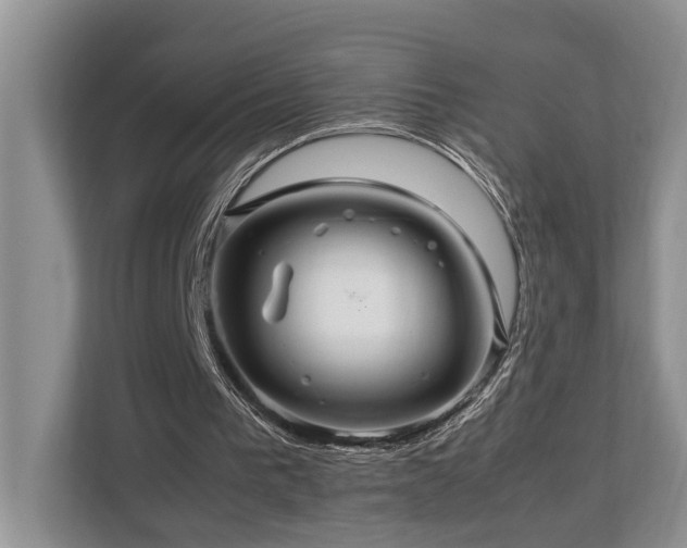 X0000112950193200908241349